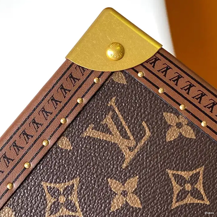 2406YA0132 LV Bags 0810